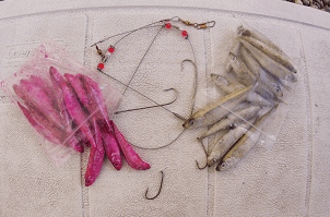 dead bait rigs for pike