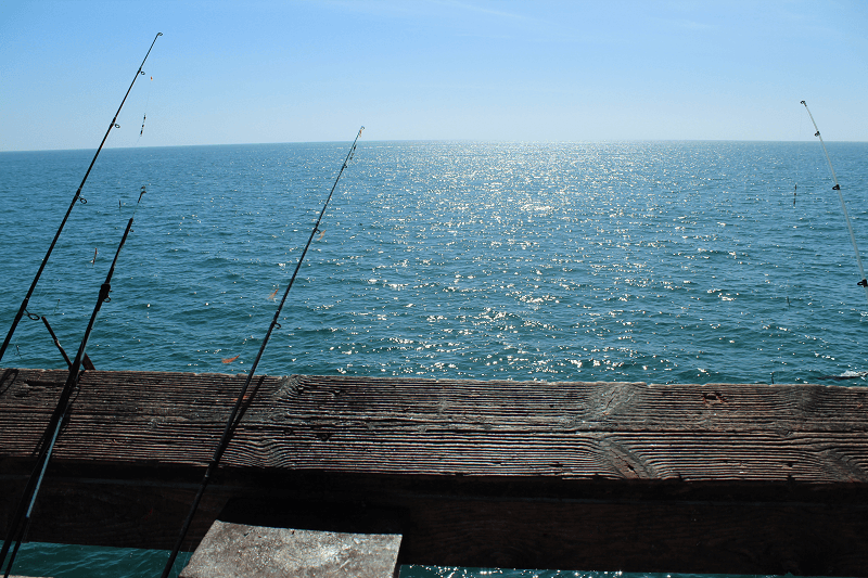 Fishing License for Saltwater Fishing - Pacific Angler